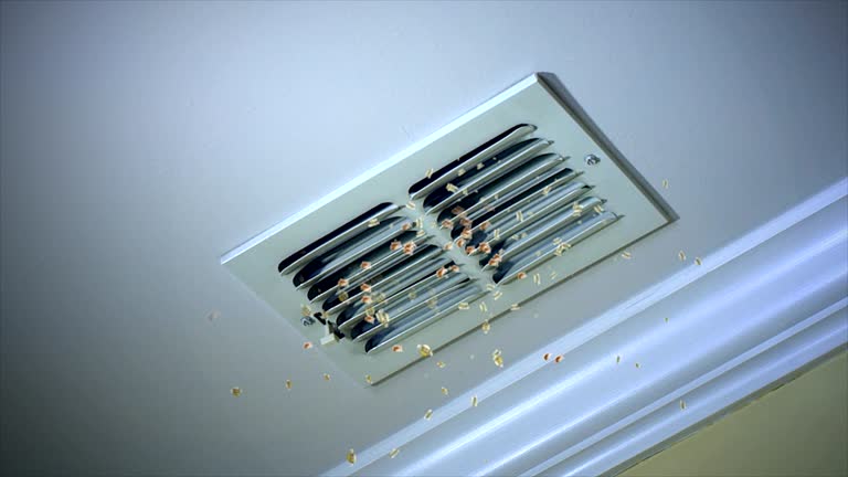 Best HVAC Air Duct Cleaning  in Gilbert, AZ