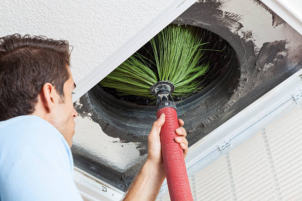 Air Duct Mold Removal in Gilbert, AZ